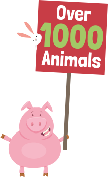 Over 1000 animals