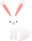 An easter bunny