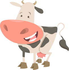 A cow