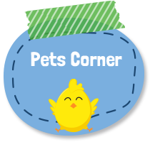 explore pets corner