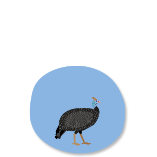 Guinea Fowl