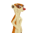 meerkat mobile