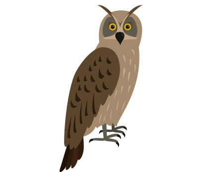 owl-large