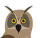 Eagle Owl