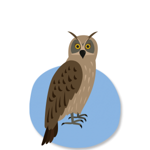 Eagle Owl