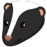 Skunks