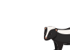 Skunk