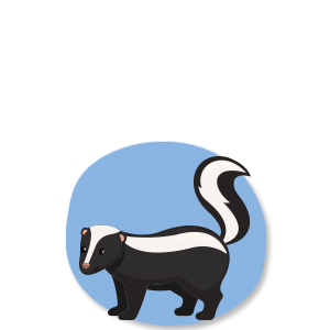 Skunks