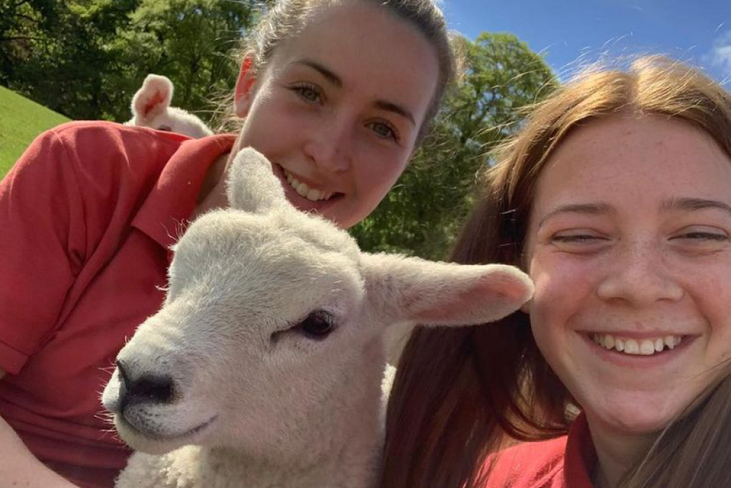 Smithills Open Farm July 2021_Team and Sheep