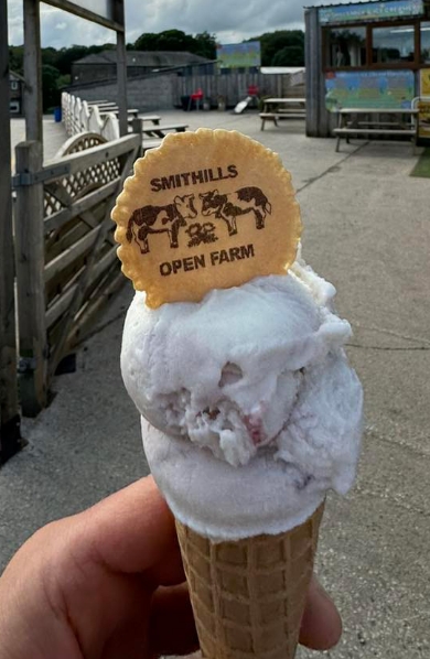 Ice cream hero mob