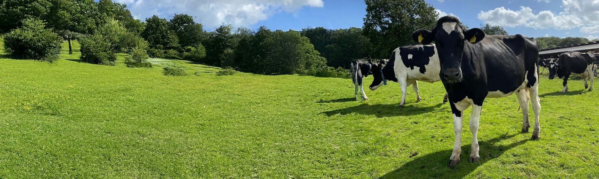 lv2 dairy farm hero