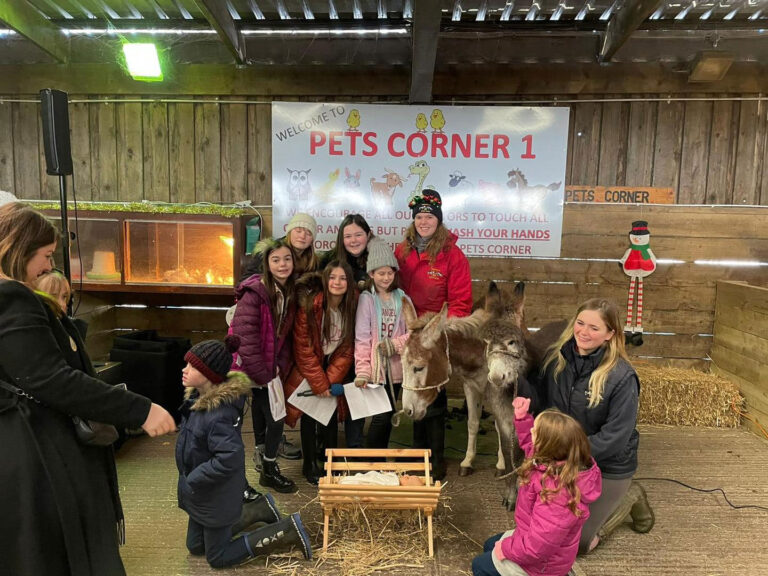 pet corner img4