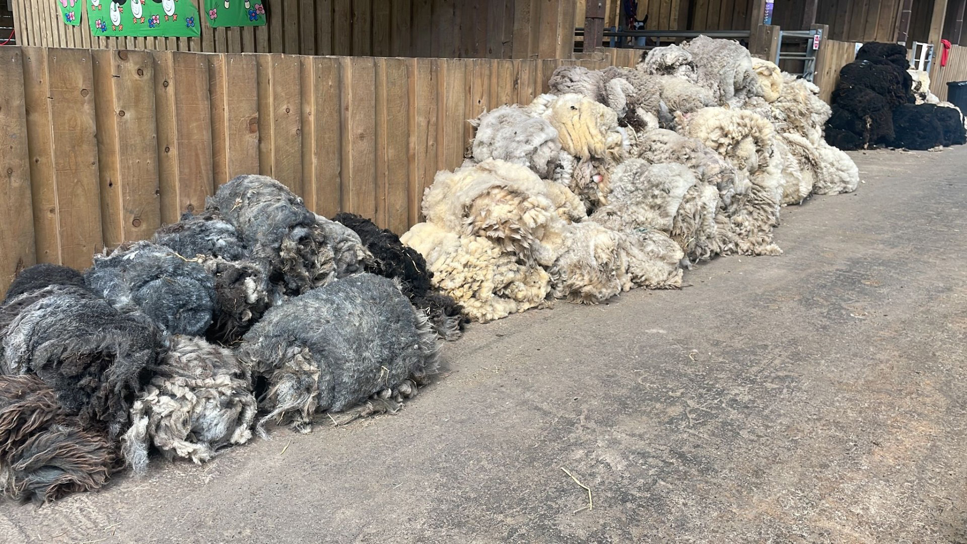 Shearing