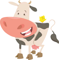 A cow with an ester chick on it's back