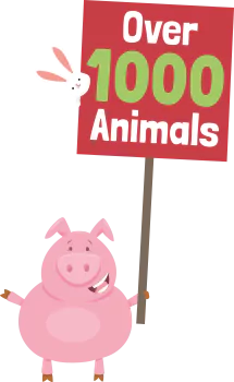 Over 1000 animals