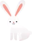 An easter bunny