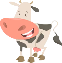 A cow