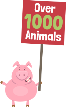 Over 1000 animals