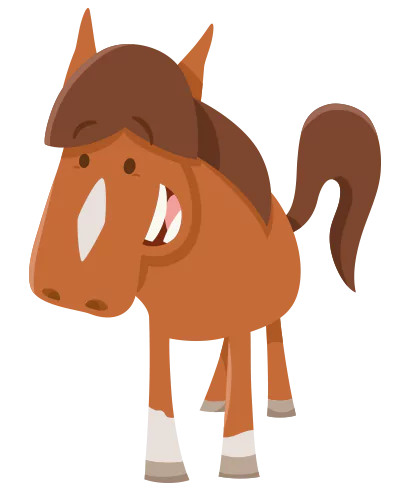 pony large