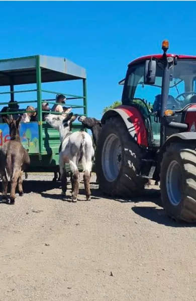 lv2 tractor ride hero mob